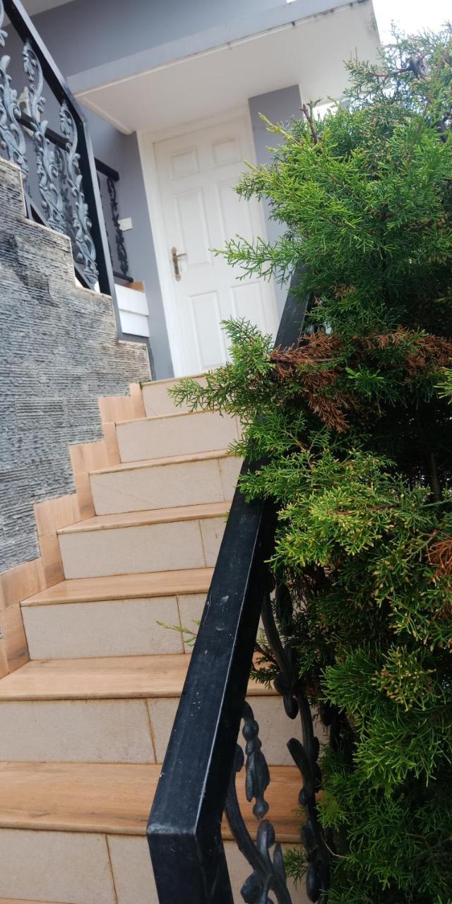 Aanvis Inn Udagamandalam Exterior foto